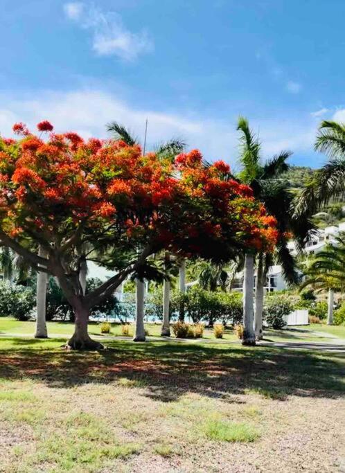 Anse MarcelEscale Caraibes公寓 外观 照片